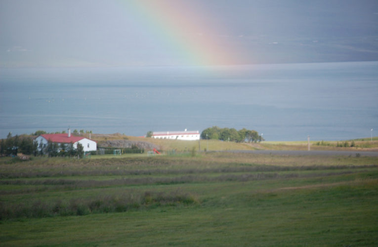 Edmonton: Is he really my true Valentine? Love and PTSD.