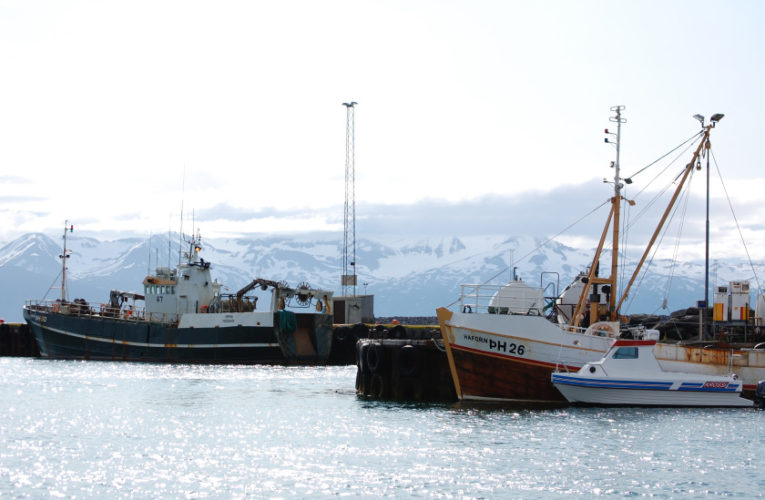 Edmonton: Woman/wife/mother: PTSD + suicidal thoughts