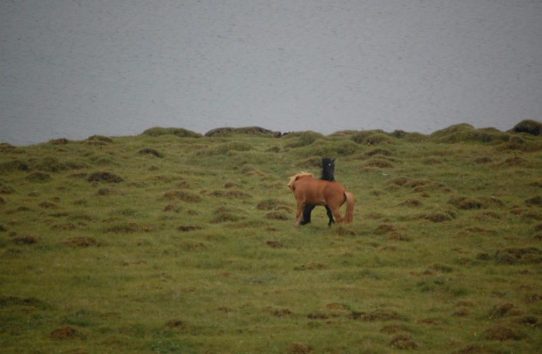 Edmonton: The Battle for Harmony When Living With PTSD