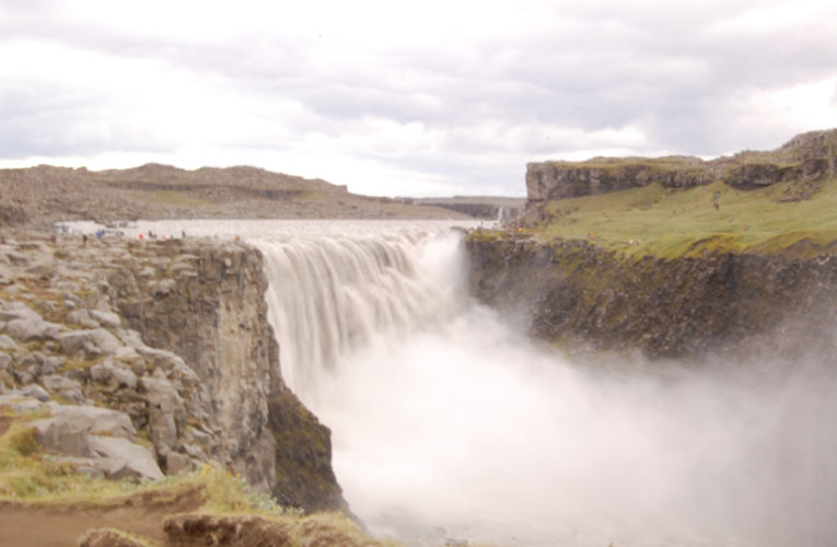 Edmonton: Help! I’m a lost little amoeba in this big PTSD ecosystem